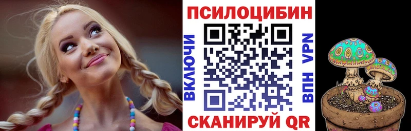Купить  Касли  Галлюциногенные грибы Psilocybine cubensis 